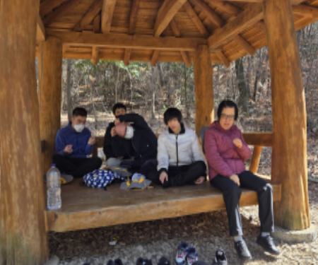 원오사 녹차밭 탐방